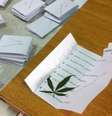 Dentro da cédula, eleitor colocou uma folha de maconha  Foto: Facebook / Reprodução