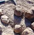 Arqueólogos encontram banheiro pré-histórico gigante na Argentina  Foto: Lucas Fiorelli / BBC Mundo