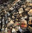 Livros queimados foram espalhados nos arredores do Instituto do Egito após o incêndio em 2011  Foto: AFP