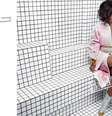 <p>Rihanna foi clicada para a nova campanha da Balmain; sessão de fotos foi realizada em Nova York</p>  Foto: Facebook / Reprodução