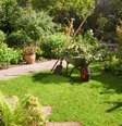 Plantar uma horta com os temperos mais comuns significa ter vegetais sempre frescos e plantas bonitas no jardim  Foto: Shutterstock