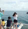 Abrolhos, na Bahia, reúne turistas que querem ver de perto as baleias  Foto: Turismo Bahia