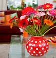 Antes de adquirir uma planta para decorar sua casa, é fundamental conhecer as características delas  Foto: Ivonne Wierink/Shutterstock