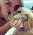 <p>Giovanna Ewbank deseja bom dia com beijo em um de seus cachorros</p>  Foto: Instagram / Reprodução