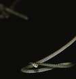 Cientistas estudaram como algumas espécies de cobra conseguem planar  Foto: Jake Socha / BBC News Brasil