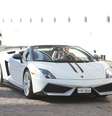 Roberto Carlos chegou ao Porto de Santos, litoral de São Paulo, dirigindo uma Lamborghini branca, na tarde deste sábado (8)  Foto: Thiago Duran / AgNews
