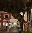 <p>Forte chuva e rajadas de vento provocaram queda de árvore na rua Morgado Mateus, na Vila Mariana, em SP</p>  Foto: Edu Silva / Futura Press