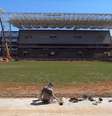 Arena Pantanal não motivou desenvolvimento de futebol no Mato Grosso  Foto: Divulgação