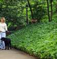 <p>Além de fazer mais exercícios, donos de cachorro interagem mais com vizinhos</p>  Foto: Getty Images 