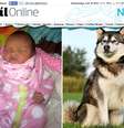 Eliza-Mae Mullane, de seis dias, pode ter sido morta pelo cachorro da família  Foto: Reprodução
