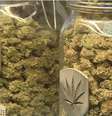 Bancos se recusam a receber o dinheiro da indústria da maconha  Foto: BBC Mundo