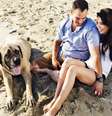 Comum durante a estação mais quente do ano, ida dos cachorros à praia pode comprometer a saúde dos próprios pets e também dos banhistas   Foto: Shutterstock 