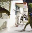 <p>Mesmo sob efeito de tranquilizante, o animal conseguiu escapar através das frestas das grades do hospital do exército, onde foi encontrado</p>  Foto: AFP