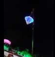 Um casamento na Índia terminou em tragédia depois que uma estrutura em formato de diamante, que levava a noiva ao altar, falhou e caiu   Foto: Youtube / Reprodução