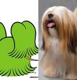 <p>O personagem Floquinho é inspirado na raça lhasa apso</p>  Foto: Divulgação / Getty Images 