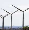  Foto: Eco Desenvolvimento