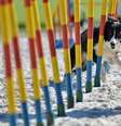  Foto: Getty Images 