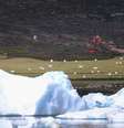 Navio passa por icebergs em Qaqortoq, na Groenlândia. Desgelo tem ritmo acelerado nos últimos anos, afetando nível do mar  Foto: Getty Images 