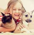Tratados como membros da família, os pets brasileiros formam o segundo maior mercado do gênero no mundo  Foto: Shutterstock