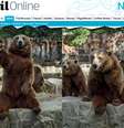 <p>Quanto mais o público interagia com os ursos, mais os animais acenavam para os visitantes</p>  Foto: Reprodução