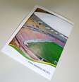 Figurinha da Arena da Amazônia mostra arquibancadas sem algumas cadeiras  Foto: Allan Farina / Terra