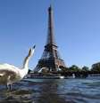 <p><strong>Paris: </strong>a Torre original demorou dois anos para ser construída e foi inaugurada em 31 de março de 1889, sendo um dos maiores símbolos da cidade francesa</p>  Foto: AFP