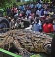 O crocodilo foi transferido para um parque e pode ter matado pescadores e mutilado pessoas  Foto: AFP
