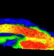  Foto: Royal Veterinary College
