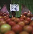 <p>Alta de preços neste ano deve passar dos 8%, segundo pesquisa do Banco Central</p>  Foto: Nacho Doce / Reuters