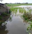 <p>Nesta terça-feira, o Tapajós chegou a marca de 7,68 metros, acima dos 7,55 metros registrados no mesmo dia em 2009</p>  Foto: Ascom Emater / Divulgação