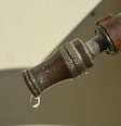 <p>Empresa afirmou que tem disponibilidade para atender a popula&ccedil;&atilde;o at&eacute; novembro</p>  Foto: Divulgação