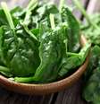 O espinafre é fonte de magnésio, ácido fólico, vitaminas A, B6 e B12, que auxiliam na maturação das células imunes  Foto: Shutterstock