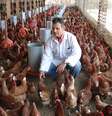 A Korin tem crescido entre 15% a 25% por ano, com seus frangos e ovos criados baseados na agricultura natural. O mercado está crescendo, a relação dos alimentos com a saúde ficam cada vez mais evidentes, diz o diretor industrial da empresa, Luiz Demattê  Foto: Divulgação