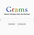 A interface do buscador Grams, que se inspira no design do Google  Foto: Reprodução / Wired