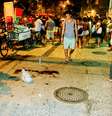 <p>Morte gerou protestos que acabaram com dois baleados: um menino de 12 anos e um homem, que morreu</p>  Foto: Murilo Rezende / Futura Press