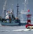 Sob olhar da Guarda Costeira, navio baleeiro deixa o porto de Ayukawa para nova temporada de caça  Foto: AFP
