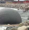 <p>A carca&ccedil;a da&nbsp;baleia pode explodir a qualquer momento</p>  Foto: BBC News Brasil
