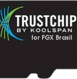 TrustChip, da KoolSpan; chip deve proteger a comunicação entre aparelhos eletrônicos  Foto: Divulgação