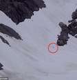 <p>O vídeo mostra um ponto negro andando no meio da neve, em montanhas do Canadá</p>  Foto: Daily Mail / Reprodução