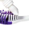 Independentemente da idade, a melhor opção é um creme dental com flúor e elementos que combatam a gengivite  Foto: Shutterstock