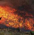 <p>Apenas 5 por cento do incêndio, que começou na manhã desta terça-feira no sul da Califórnia, região que sofre com temperaturas acima de 38 graus Celsius, havia sido contido até o final da tarde</p>  Foto: Reuters