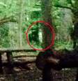 Possível "fantasma" foi fotografado por duas amigas em Bristol  Foto: Huffington Post / Reprodução