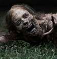 <p>Documento estabelece oito tipos de zumbi adversários que os militares norte-americanos podem encontrar em uma invasão</p>  Foto: The Walking Dead / Reprodução