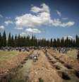<p>O n&uacute;mero final de mortos ficaria em 302 pessoas, segundo o ministro de Energia turco, Taner Yildiz</p>  Foto: AP