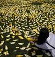 Várias pessoas fazem homenagens às mais de trezentas vítimas do naufrágio  Foto: Reuters