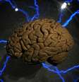 <p>Estudo sugere que perspectivas políticas refletem divergências profundas na forma como compreendemos o mundo</p>  Foto: AFP