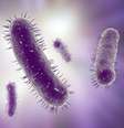 <p>Estudo mostrou diferenças entre as bactérias intestinais de crianças autistas e não autistas</p>  Foto: Getty Images 