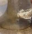 <p>Os maus-tratos deixam feridas profundas nas patas dos elefantes. O parque passa por investigação</p>  Foto: SPCA / Reprodução
