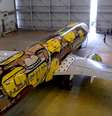 <p>Seleção Brasileira viajará em avião temático durante a Copa do Mundo</p>  Foto: Alan Morici / Terra