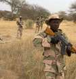<p>Soldados nigerianos andam&nbsp;em linha durante uma miss&atilde;o de treinamento internacional liderada pelos EUA para as for&ccedil;as armadas africanas, em Diffa. Foto de&nbsp;3 de mar&ccedil;o</p>  Foto: Reuters